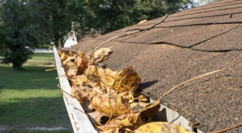 Cleaning Gutters In The Spring